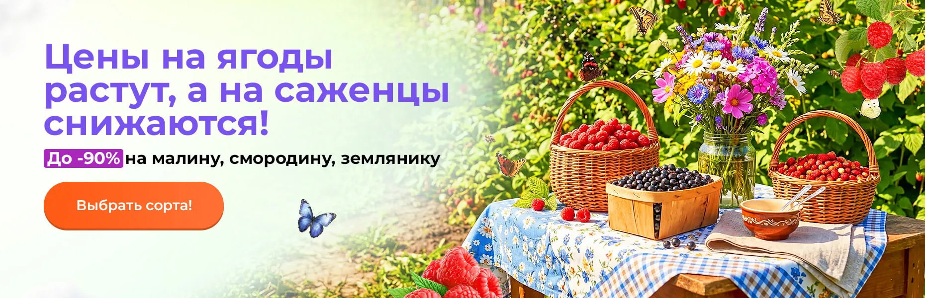 Цены на ягоды растут, а на саженцы снижаются! До -90% на малину, смородину, землянику
