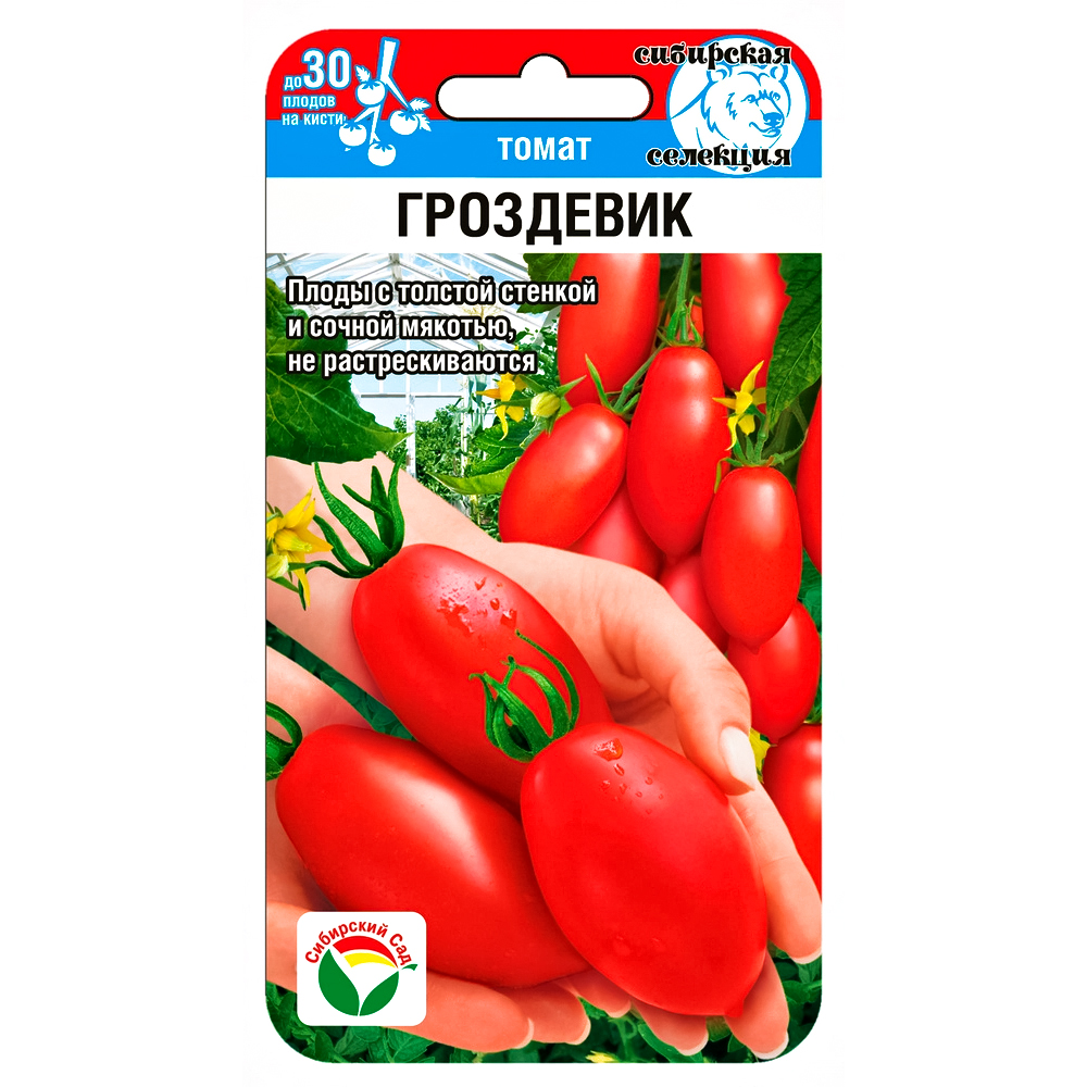 Томат Гроздевик Сибирский сад № 1