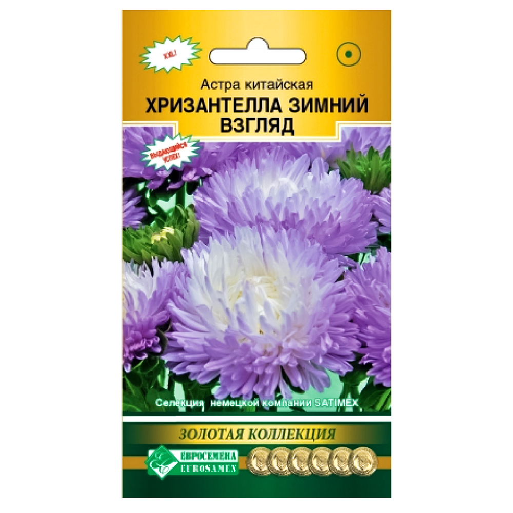 Астра китайская Хризантелла Зимний взгляд Евросемена № 1