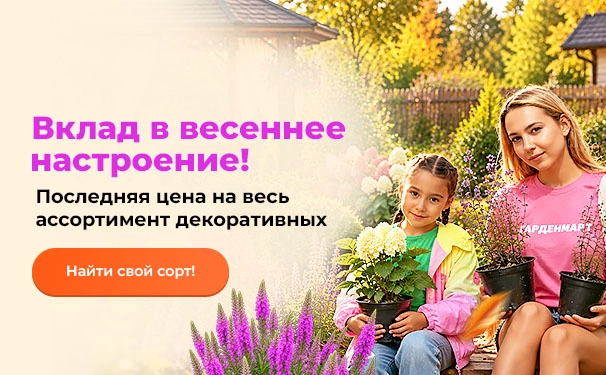 Вклад в весеннее настроение! Последняя цена на весь ассортимент декоративных