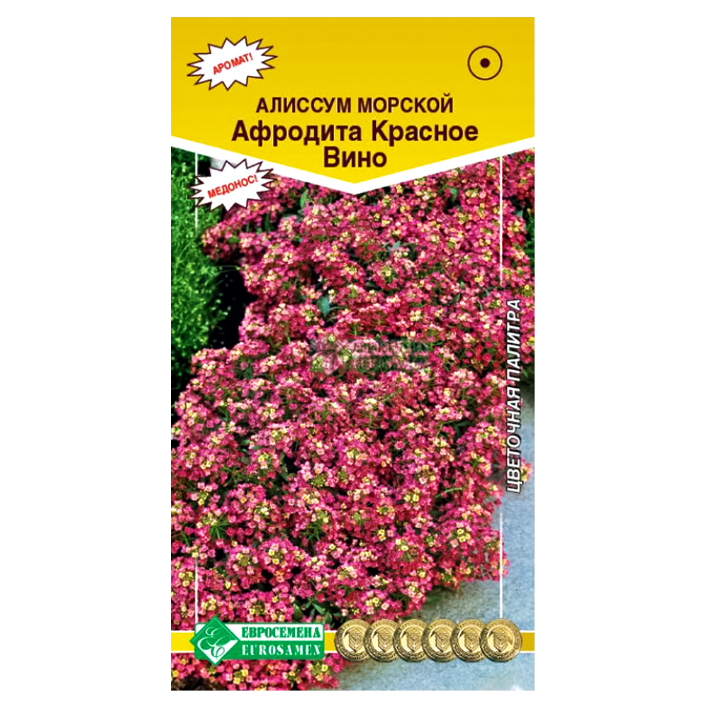 Алиссум морской Афродита Красное вино Евросемена № 1