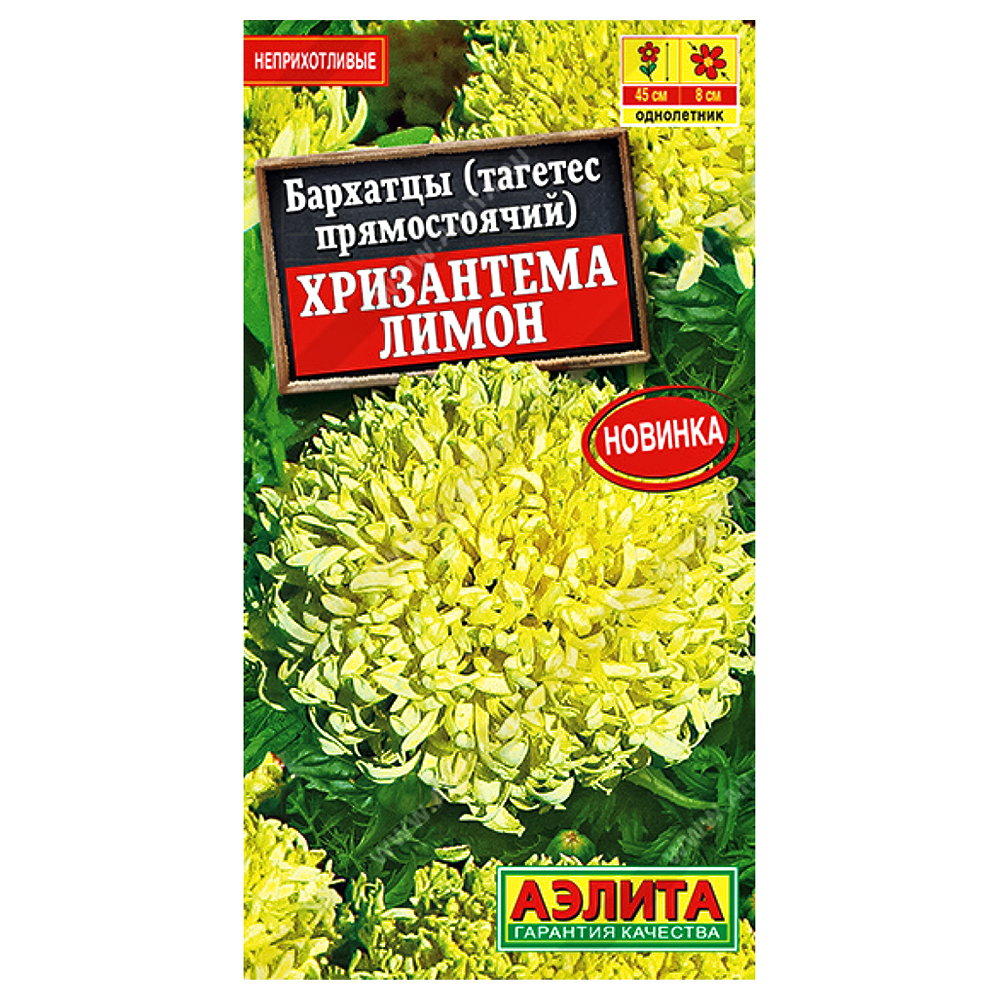 Бархатцы прямостоячие Хризантема Лимон Аэлита № 1