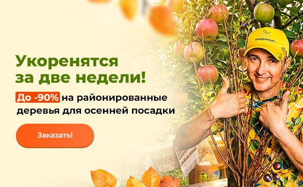 Укоренятся за две недели! До -90% на районированные деревья для осенней посадки