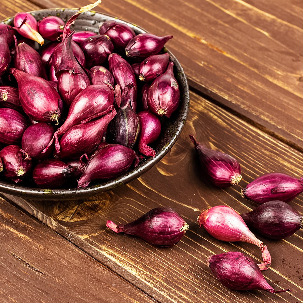 Лук-севок Кармен № 1