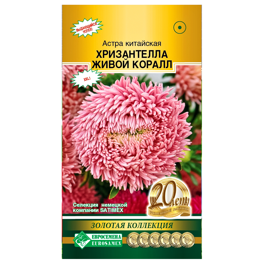 Астра китайская Хризантелла Живой коралл Евросемена № 1
