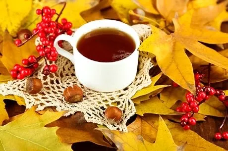Ароматный чай и полезный перекус. 5 самых важных осенних ягод