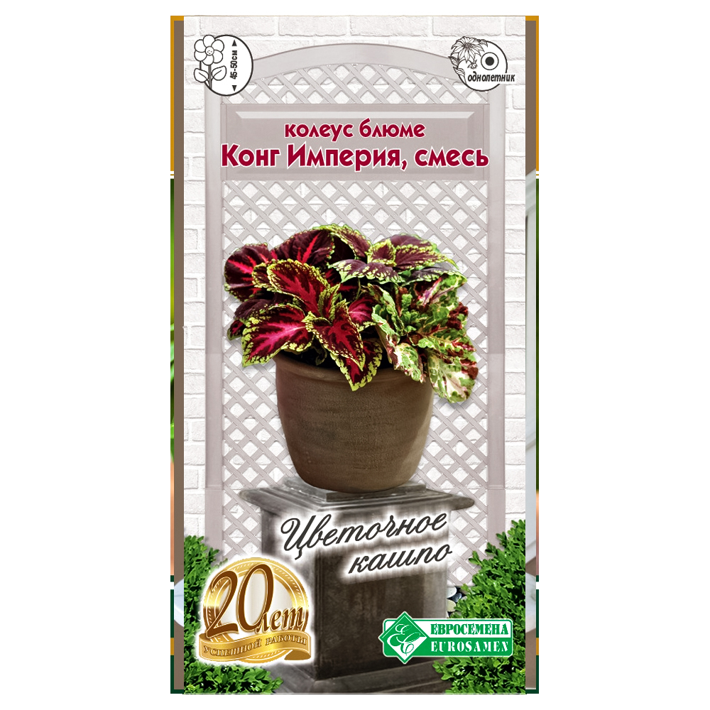 Колеус Блюме Конг Империя, cмесь сортов Евросемена № 1