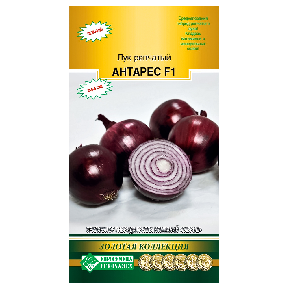 Лук репчатый Антарес F1 Евросемена № 1