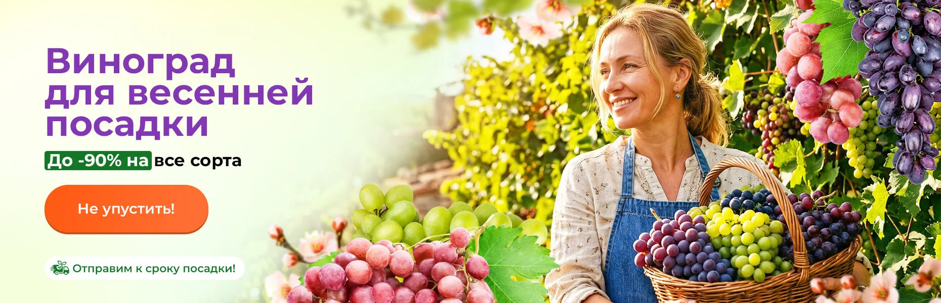 Виноград для весенней посадки. До -90% на все сорта. Отправим к сроку посадки!