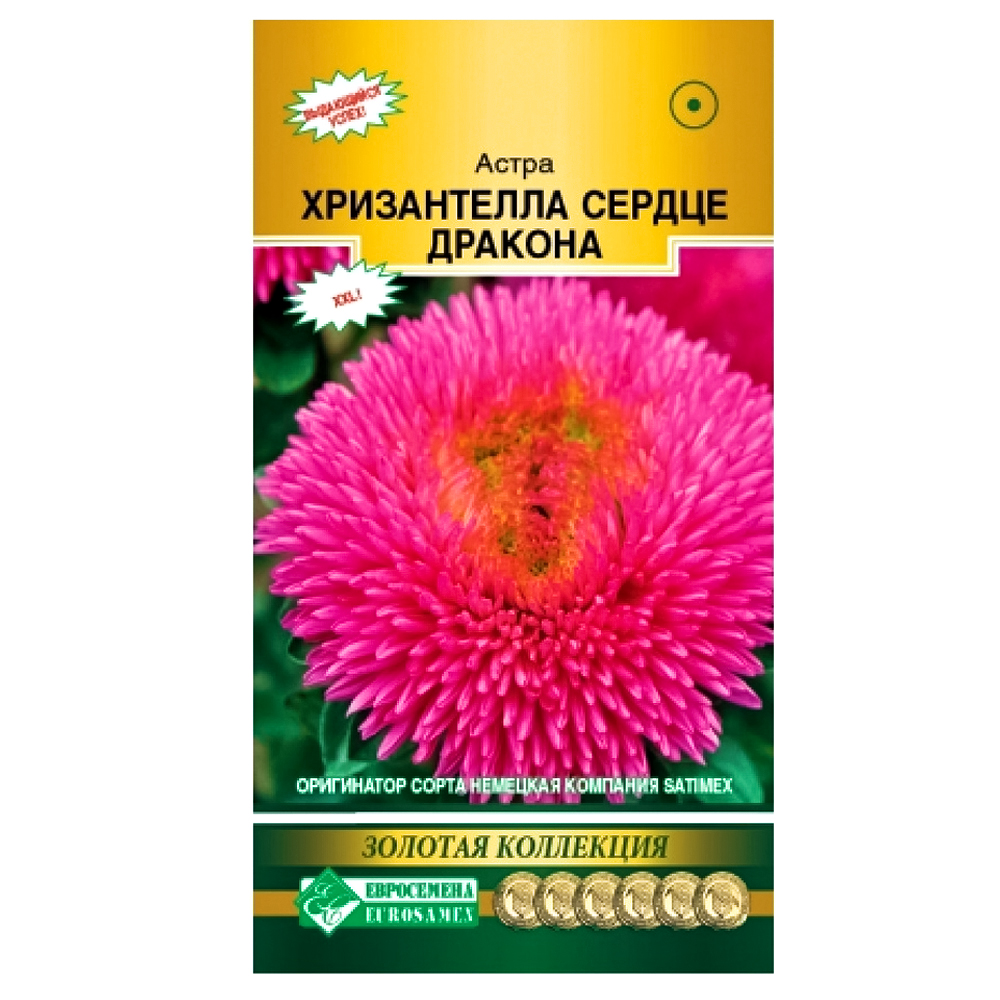 Астра китайская Хризантелла Сердце дракона Евросемена № 1