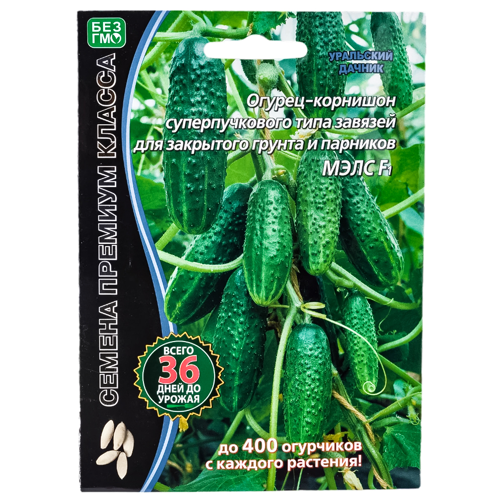 Огурец суперпучкового типа Мэлс F1 Уральский дачник № 1