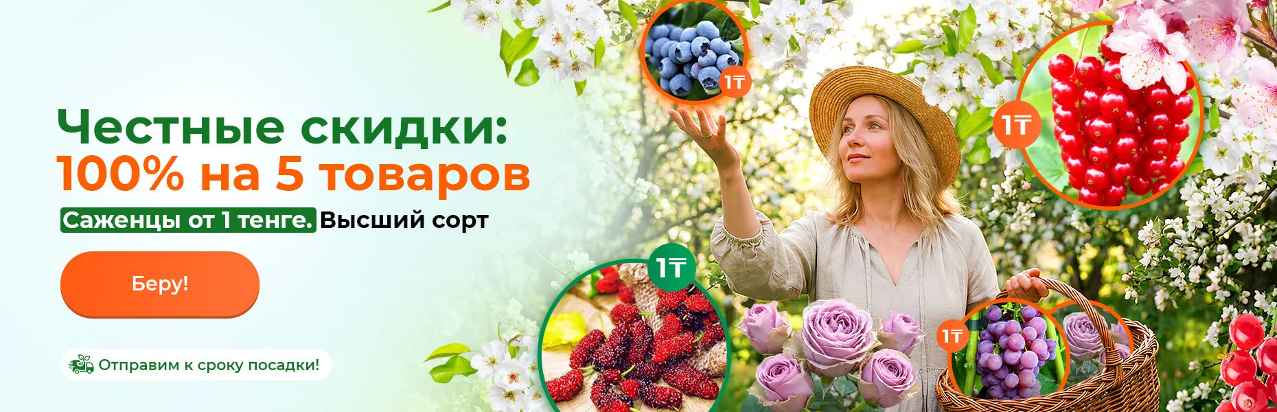 Честные скидки: 100% на 5 товаров! Саженцы от 1 тенге. Высший сорт. Отправим к сроку посадки!