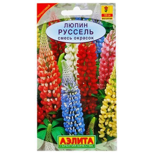 Люпин Руссель, смесь окрасок Аэлита № 1