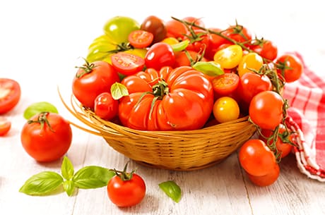Уход за помидорами в июле: как не дать плодам потрескаться и загнить