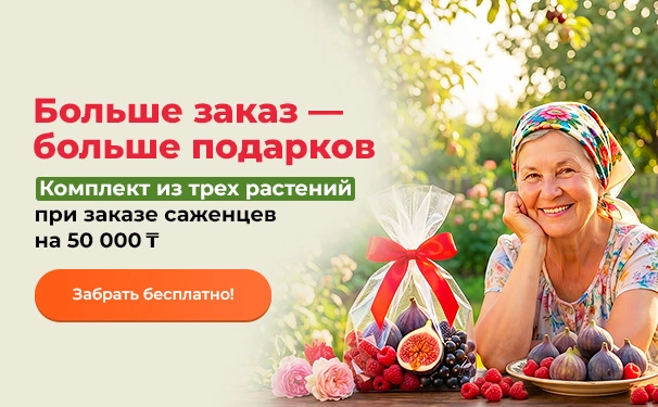 Больше заказ — больше подарков! Комплект из трех растений при заказе саженцев на 50 000 тенге