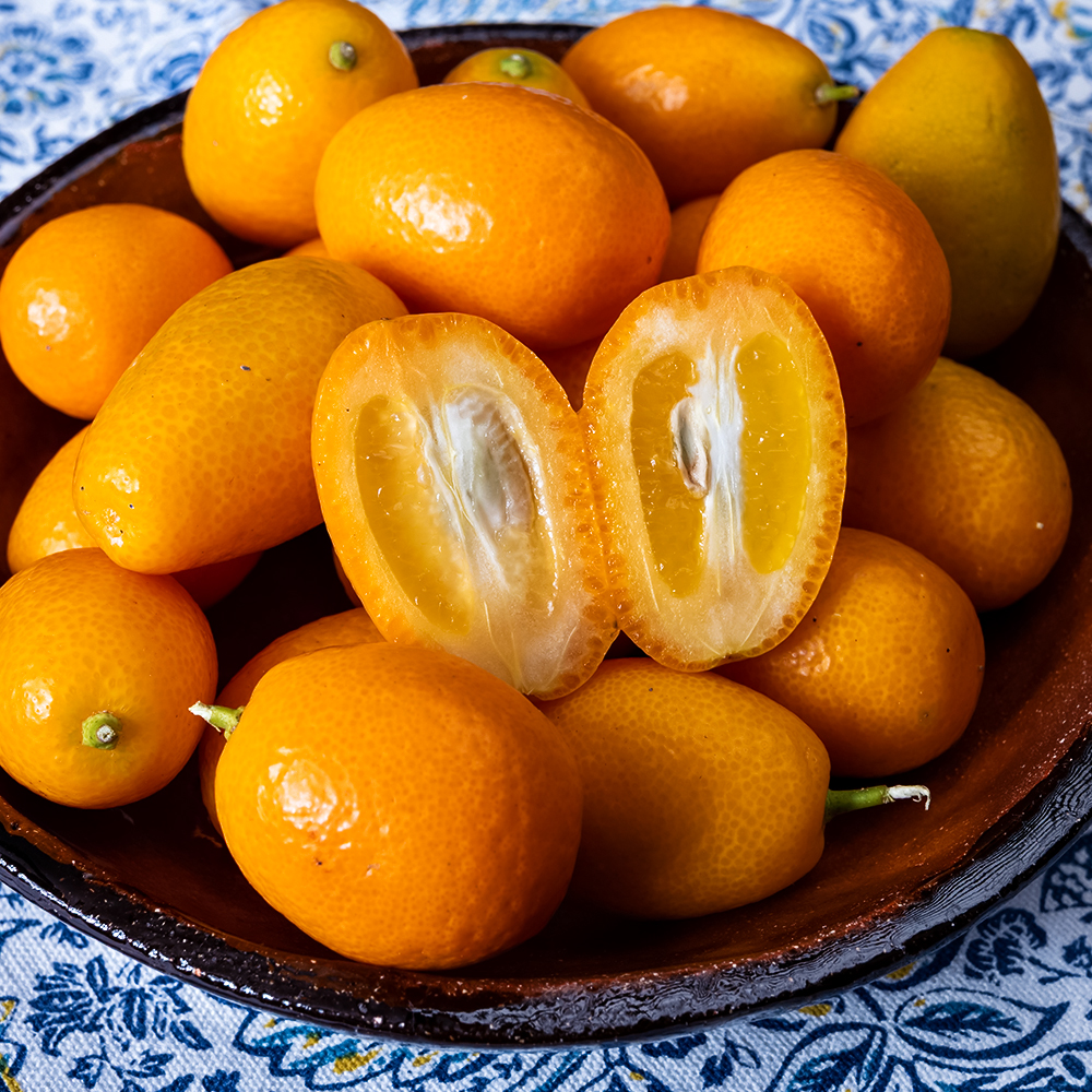 Кумкват комнатный со вкусной кожурой Тондо № 1