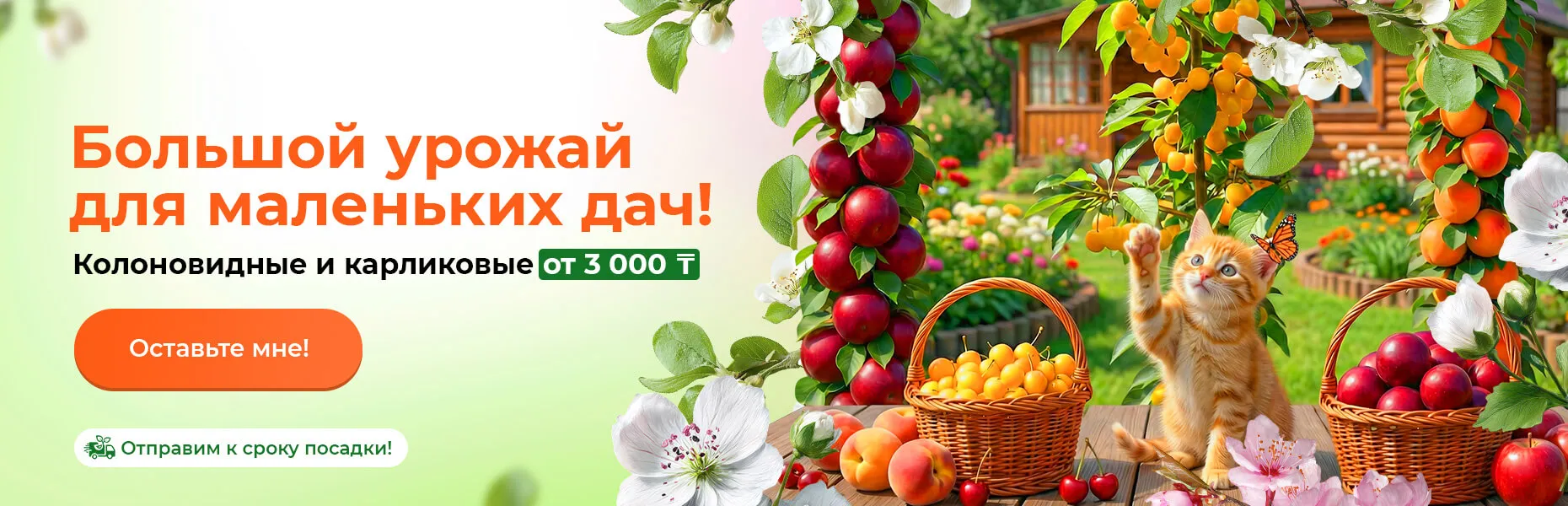 Большой урожай для маленьких дач! Колоновидные и карликовые от 3000 ₸. Отправим к сроку посадки!