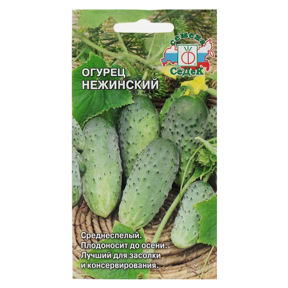 Огурец Нежинский Седек № 1