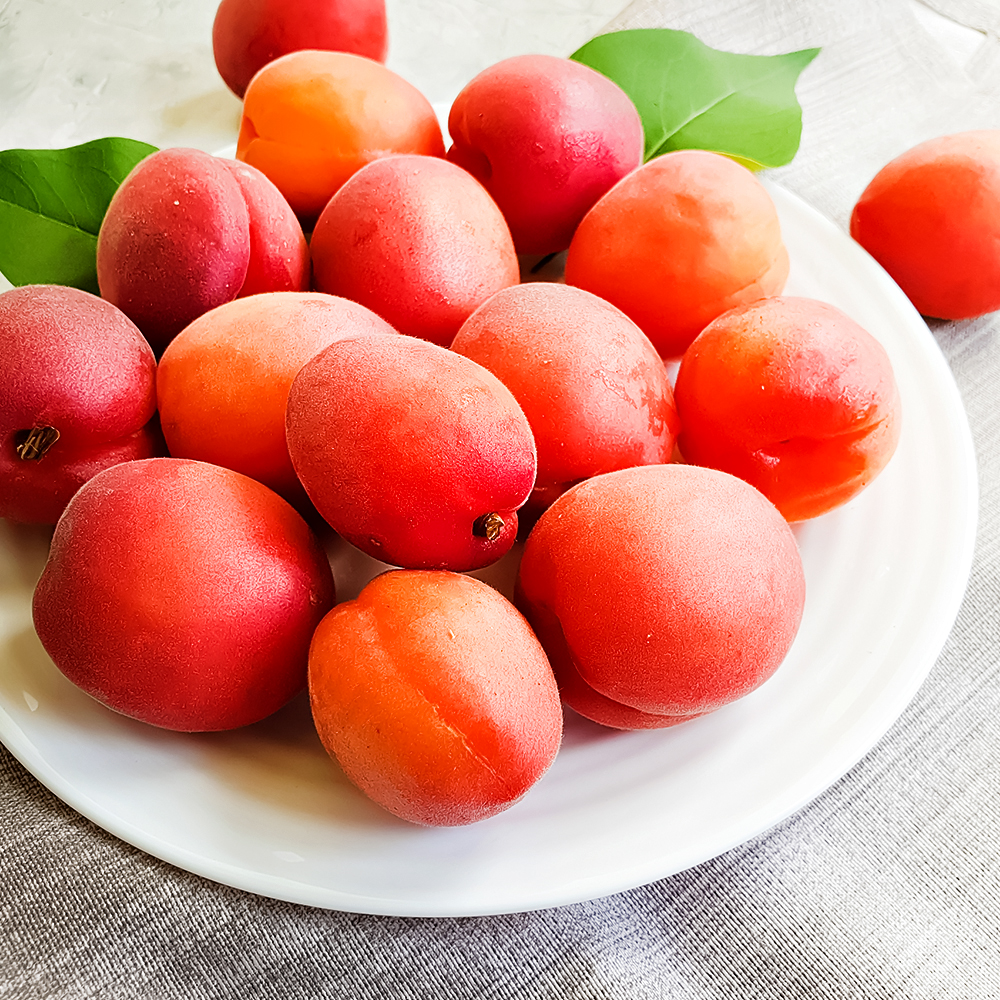 Абрикос для позднего урожая Дженгат № 1