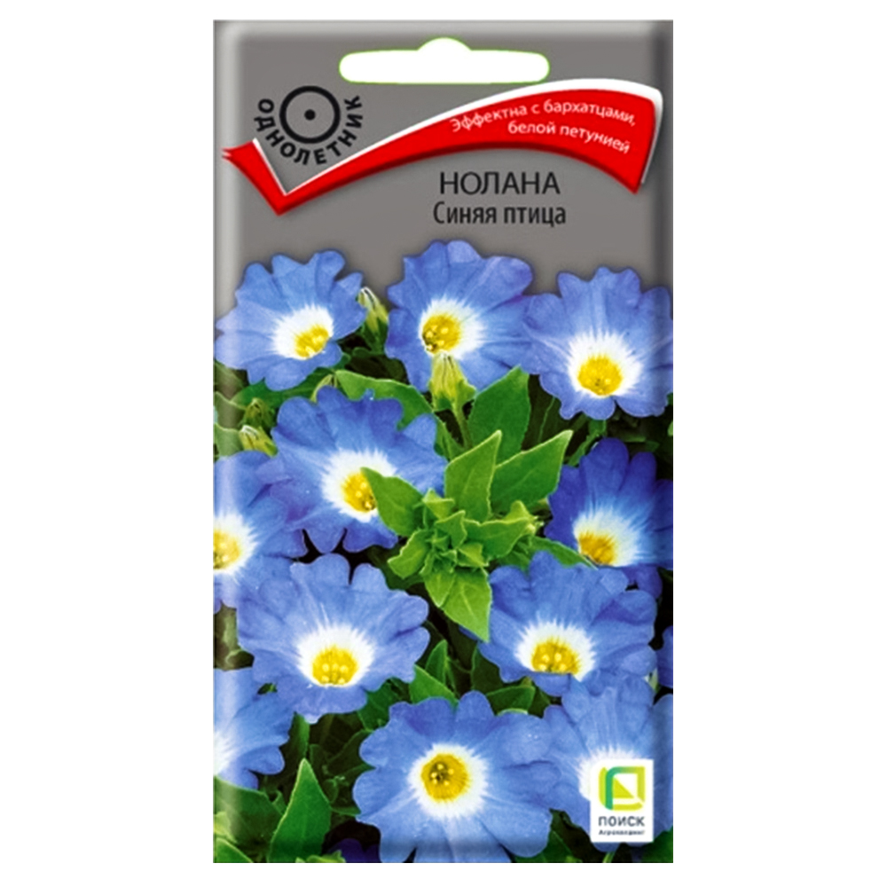 Нолана Синяя птица Поиск № 1