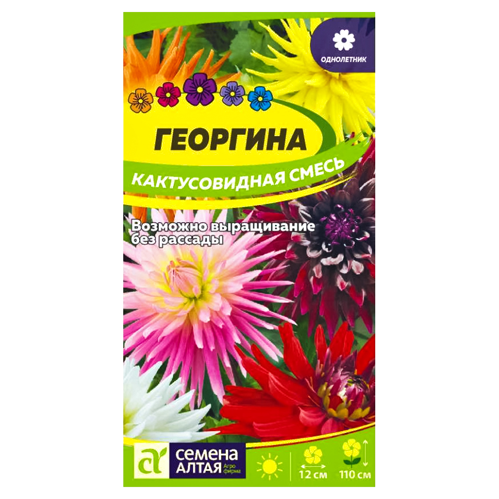Георгина Кактусовидная, смесь окрасок Семена Алтая № 1