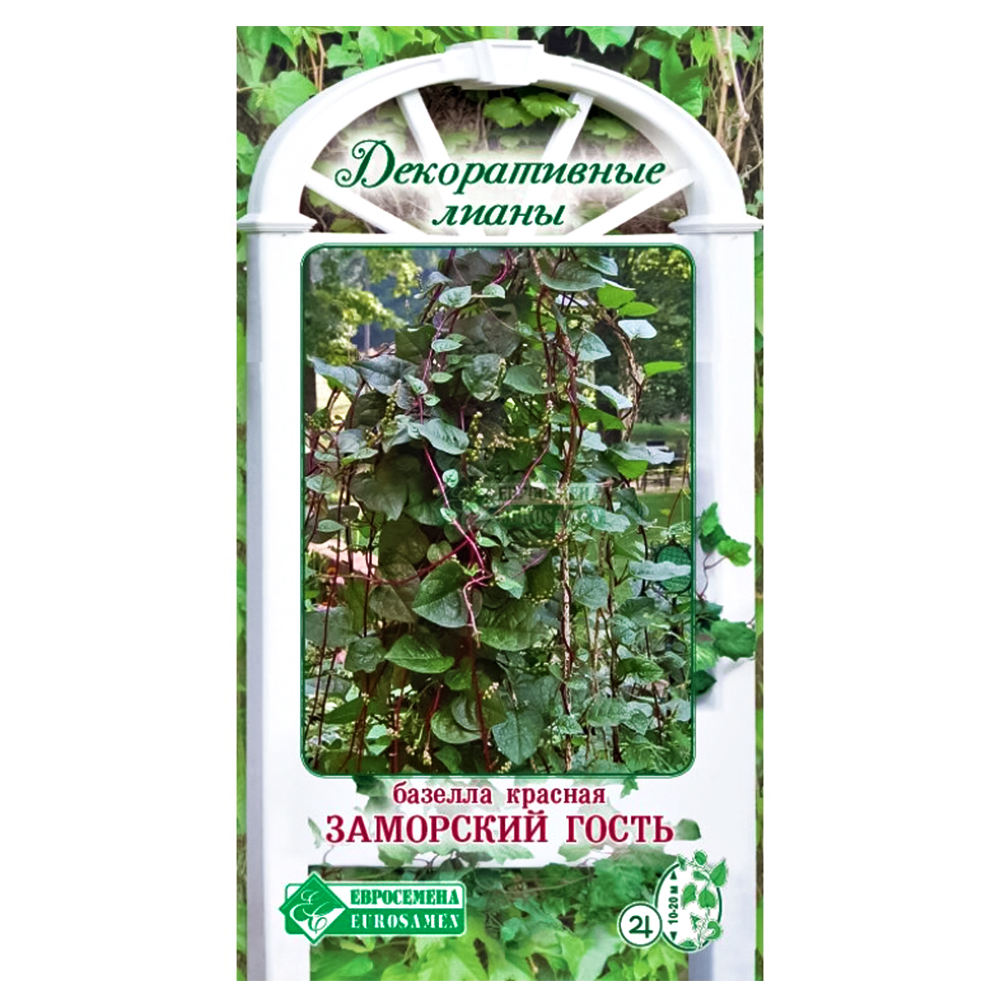 Базелла красная Заморский гость Евросемена № 1