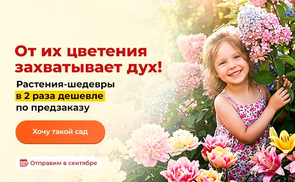 От их цветения захватывает дух! Растения-шедевры в 2 раза дешевле по предзаказу. Отправим в сентябре