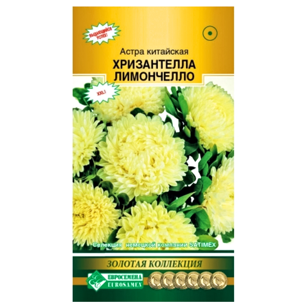 Астра китайская Хризантелла Лимончелло Евросемена № 1