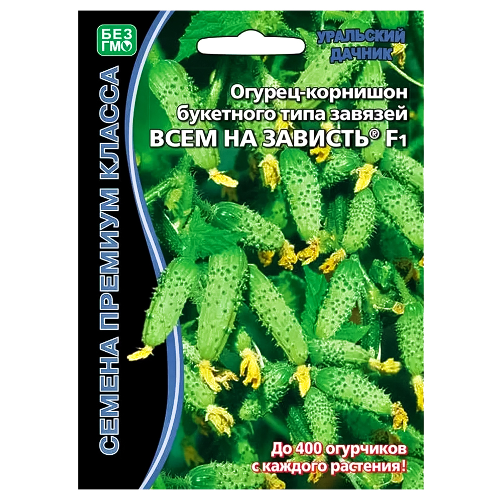 Огурец суперпучкового типа Всем на зависть F1 Уральский дачник № 1