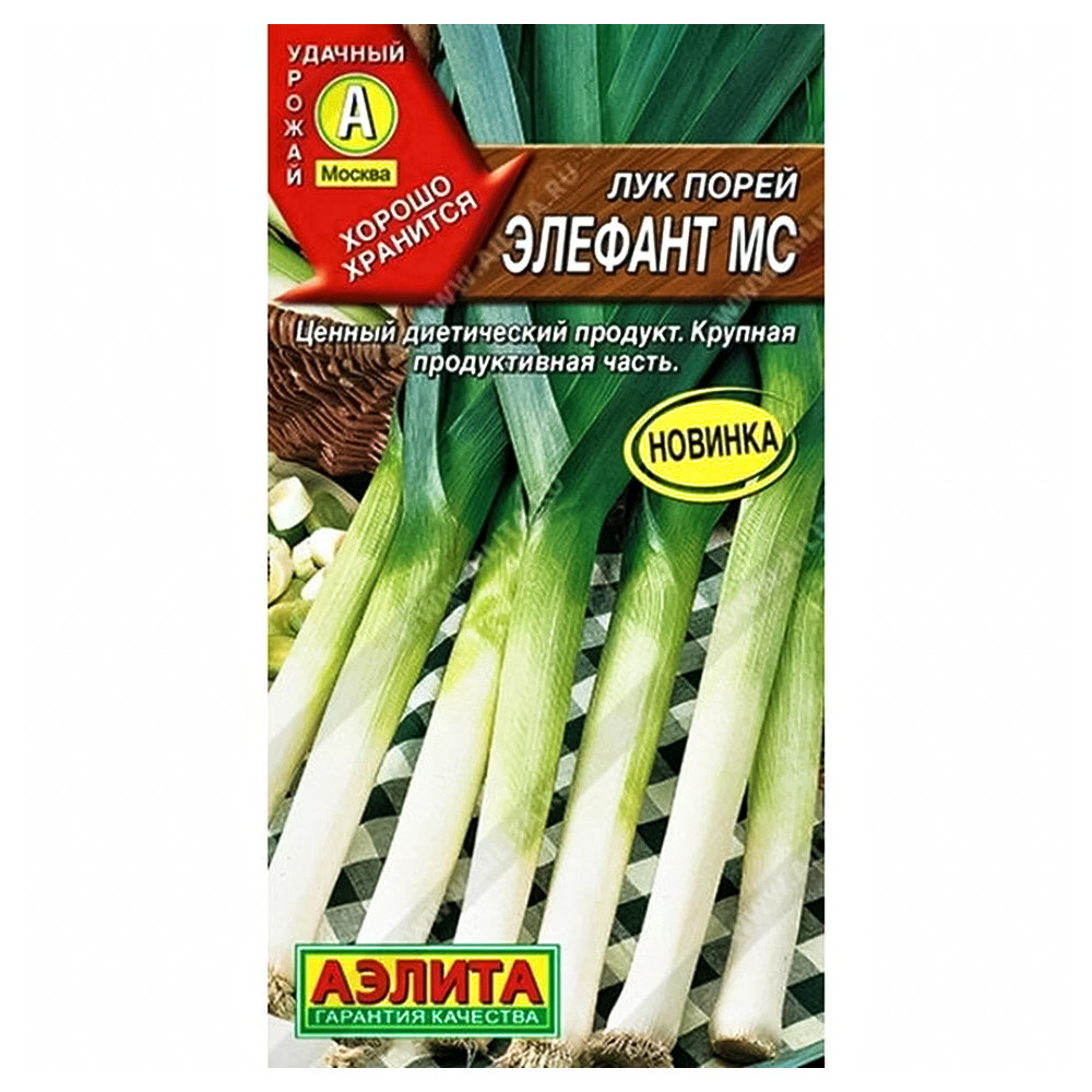 Лук порей Элефант МС Аэлита № 1