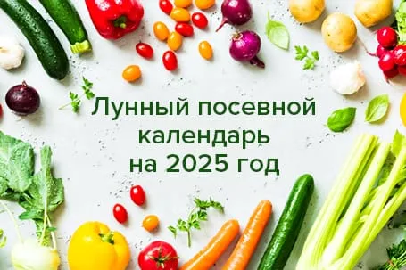 Лунный календарь для вашего сада: советы по весенним работам