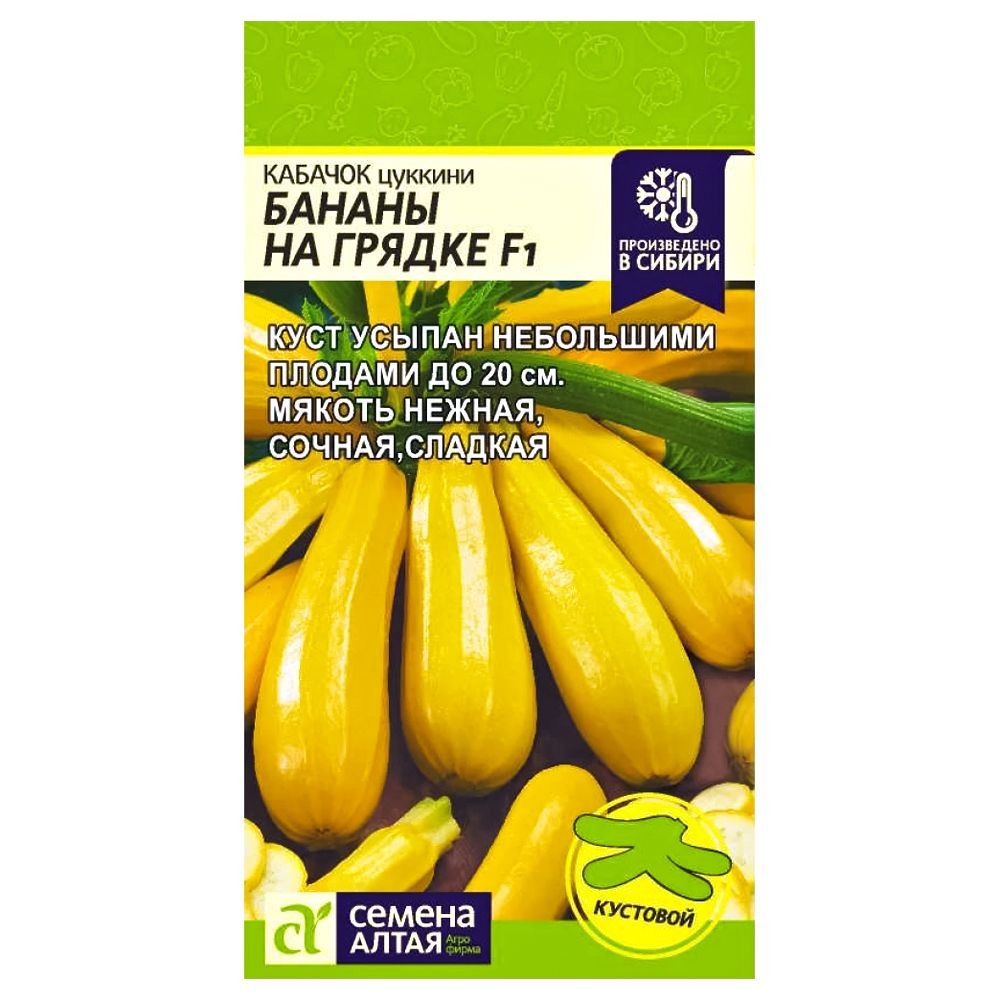 Кабачок цукини Бананы на грядке F1 Семена Алтая № 1