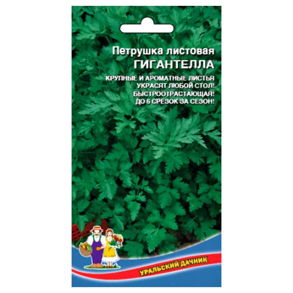 Петрушка листовая Гигантелла Уральский дачник № 1