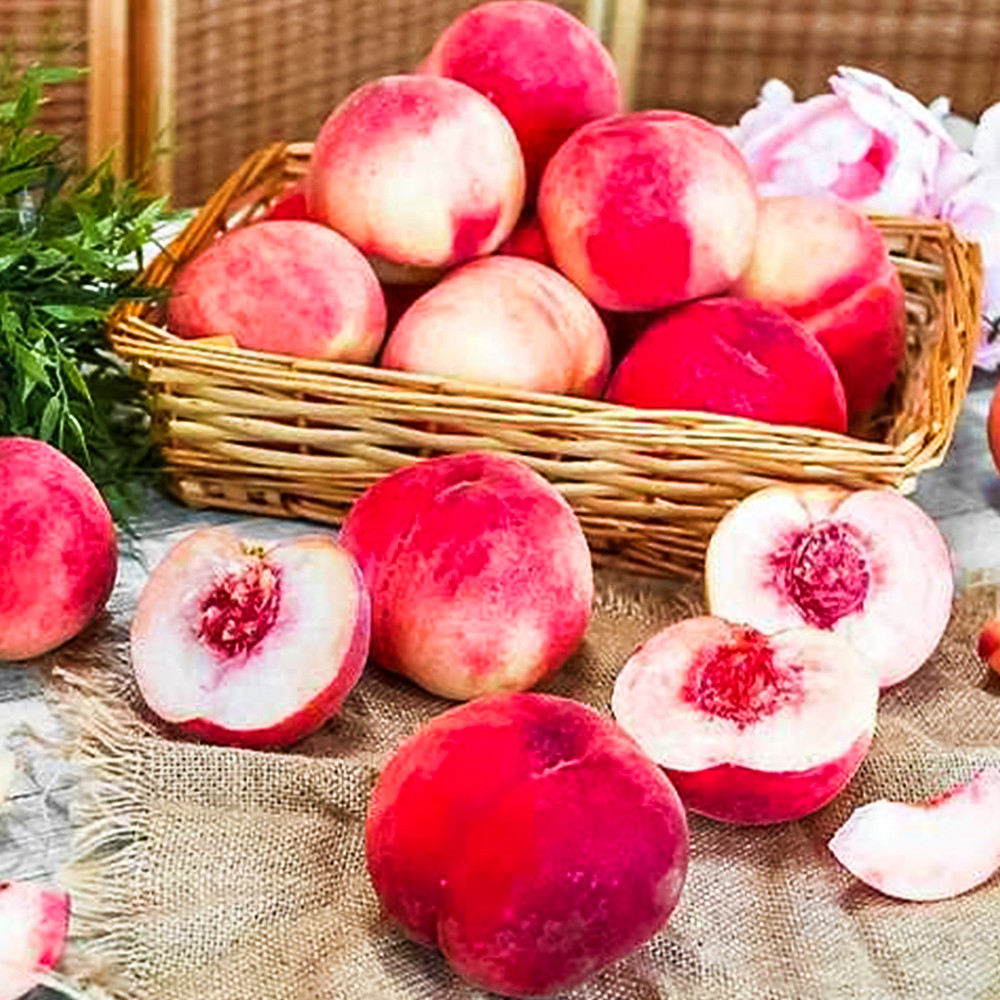 Персик для средней полосы Фиделия № 1