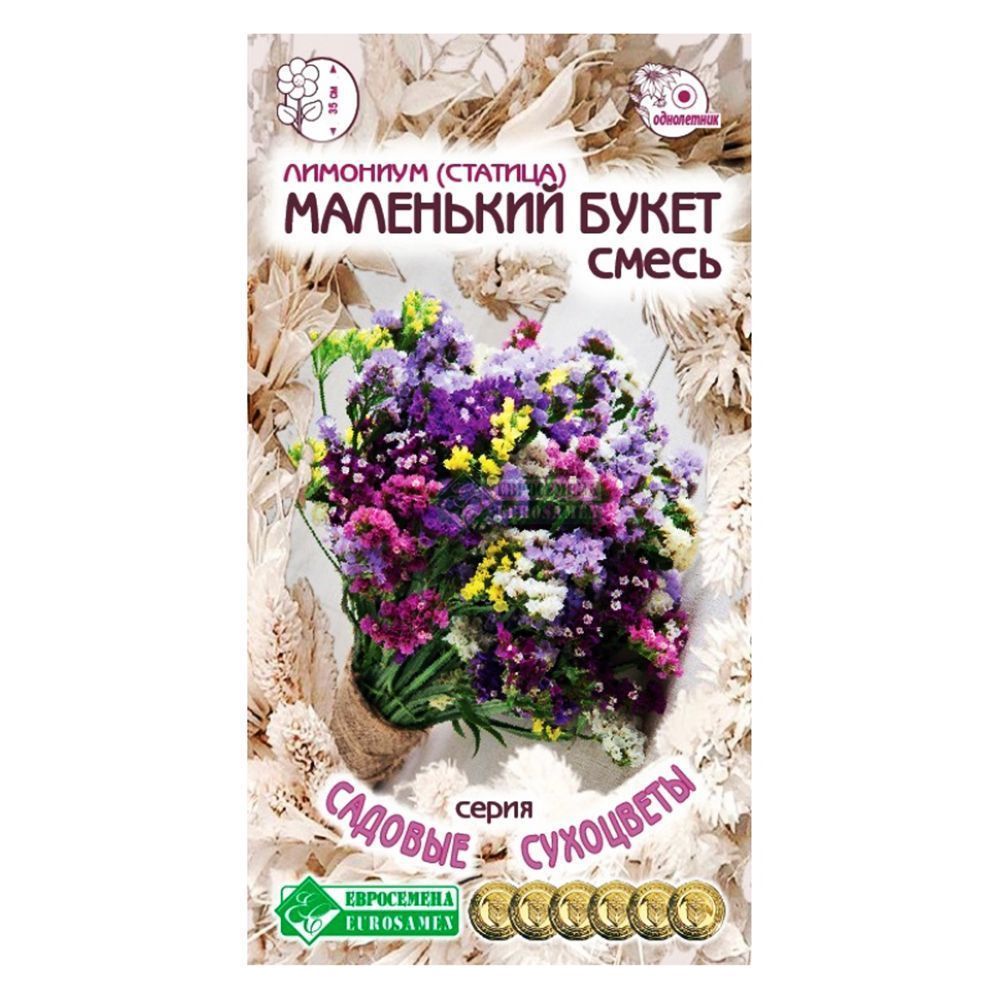 Лимониум (статица) Маленький букет, смесь окрасок Евросемена № 1