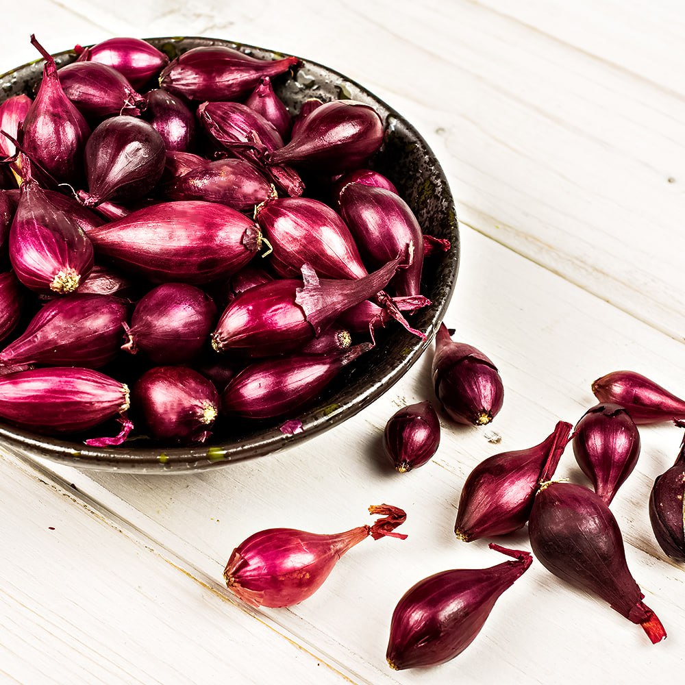 Лук-севок Ред Барон