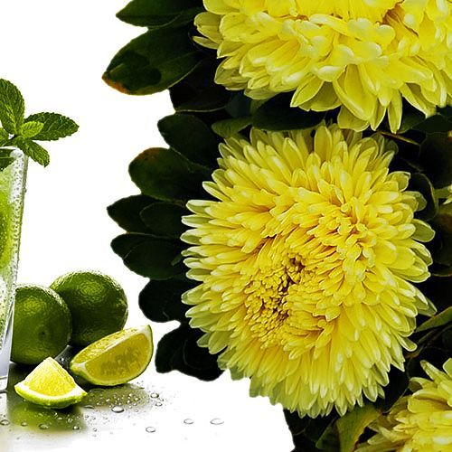 Астра китайская Хризантелла Лимончелло Евросемена