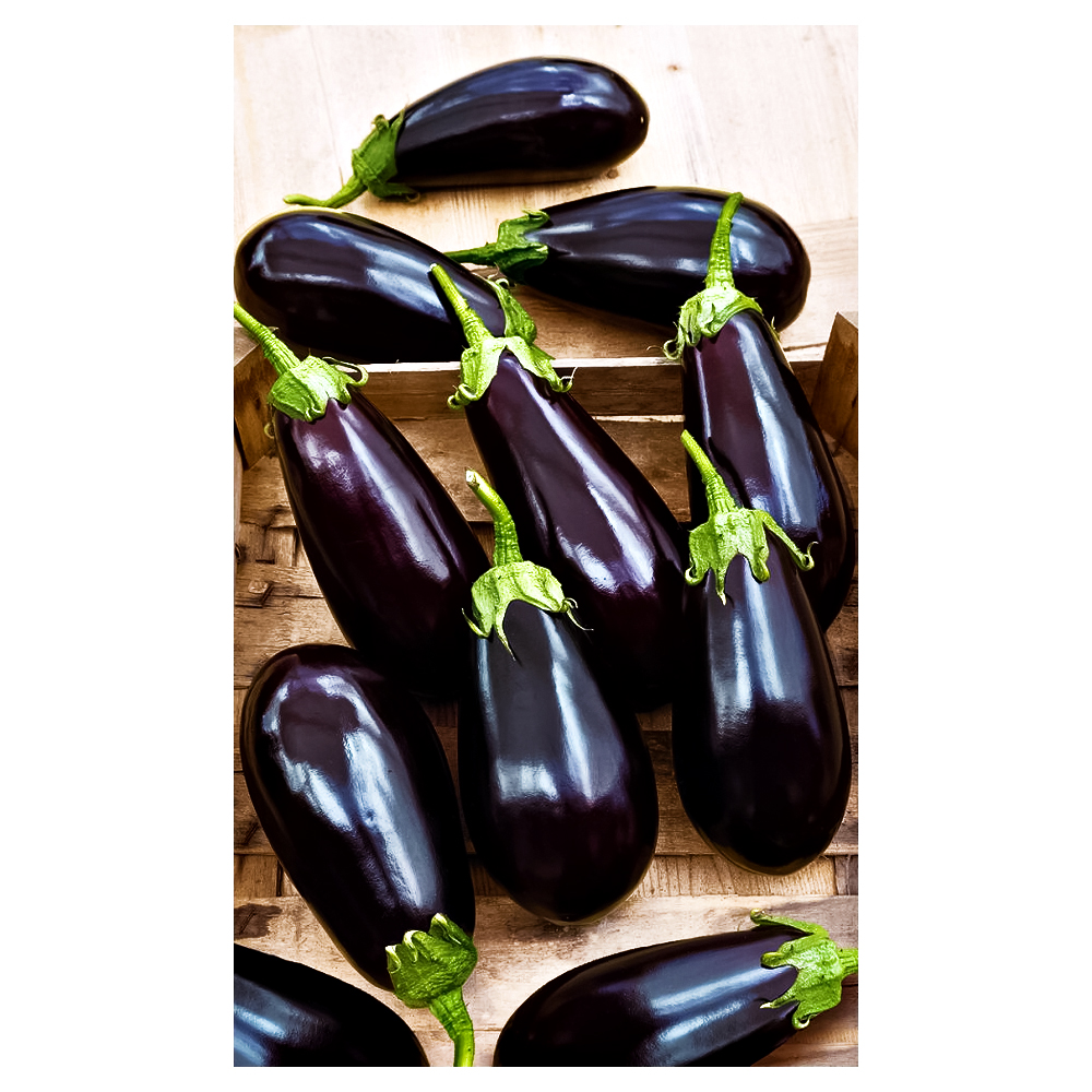 Баклажан Мулатка Уральский дачник