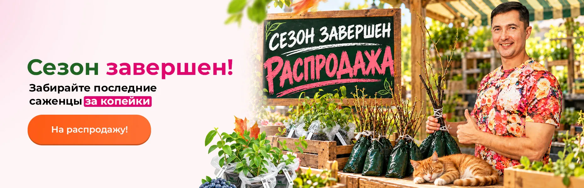 Сезон завершен! Забирайте последние саженцы за копейки