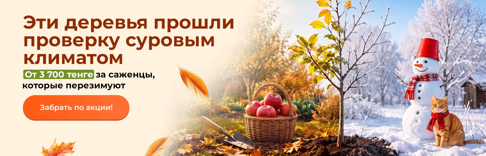 Эти деревья прошли проверку суровым климатом! От 3700 тенге за саженцы, которые перезимуют