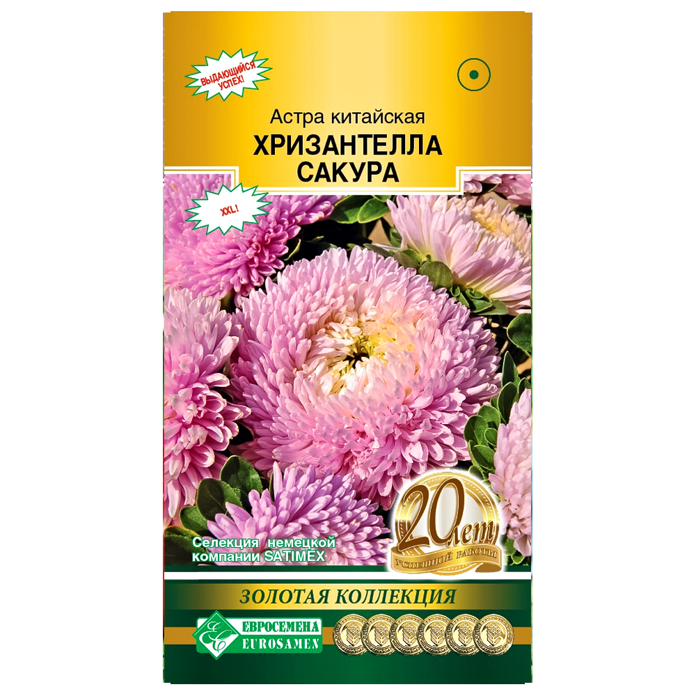 Астра китайская Хризантелла Сакура Евросемена № 1
