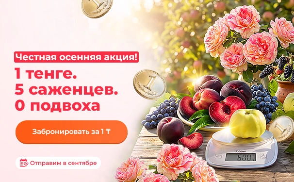 Честная акция! 1 тенге. 5 саженцев. 0 подвоха. Отправим в сентябре