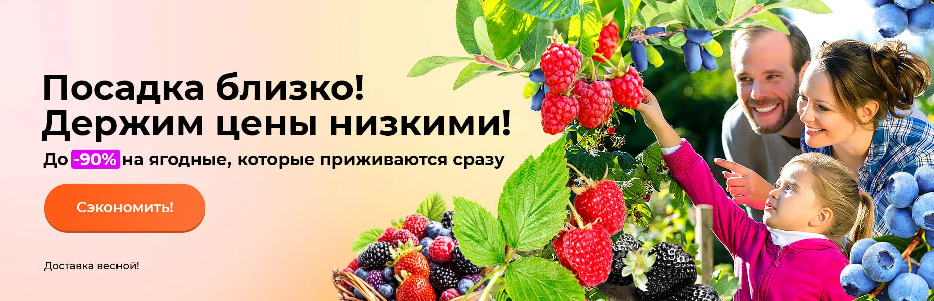 Посадка близко! Держим цены низкими! До -90% на ягодные, которые приживаются сразу. Доставка весной!