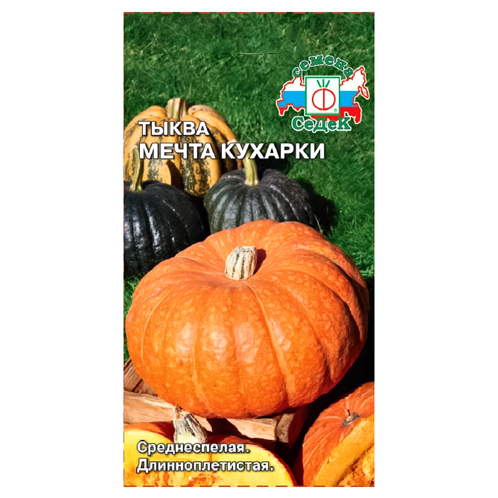 Тыква Мечта кухарки Седек № 1