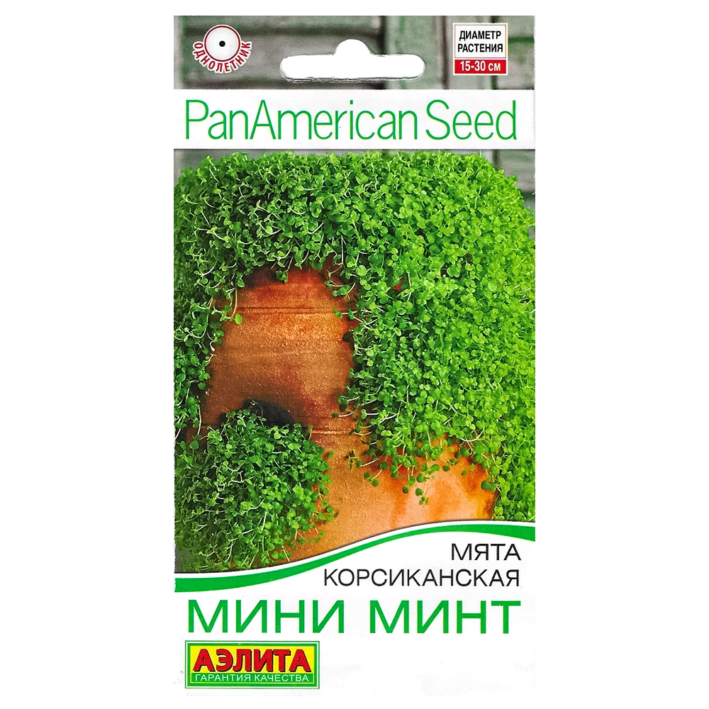 Мята корсиканская Мини Минт Аэлита № 1