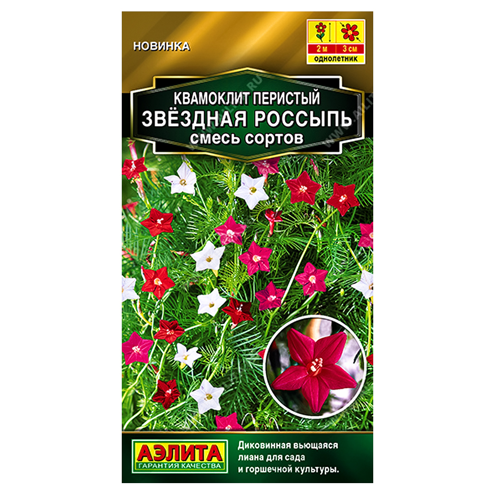 Квамоклит перистый Звездная россыпь, смесь сортов Аэлита № 1