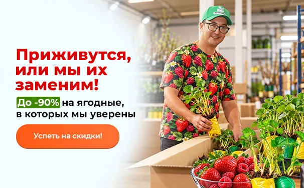 Приживутся, или мы их заменим! До -90% на ягодные, в которых мы уверены