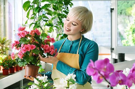 10 натуральных удобрений для домашних цветов