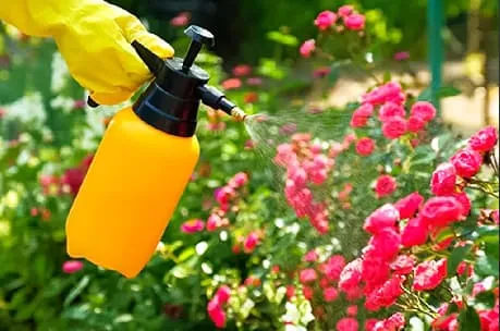 На все случаи жизни: собираем эффективную садовую аптечку