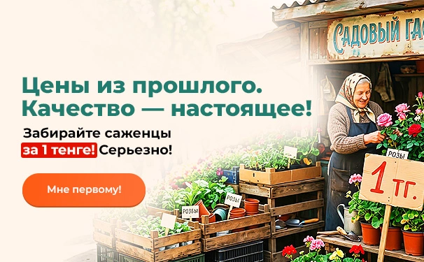 Цены из прошлого. Качество — настоящее! Забирайте саженцы за 1 тенге! Серьезно!